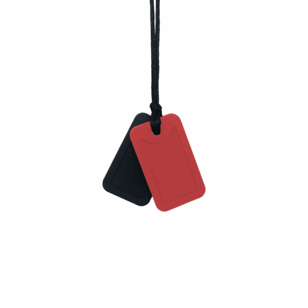 Black and red dog tag sensory chew necklace pair on black cord