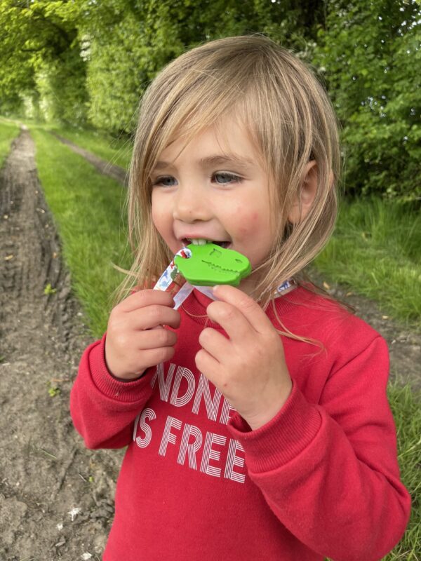 Child model in a field with green dinosaur chew necklace in her mouth