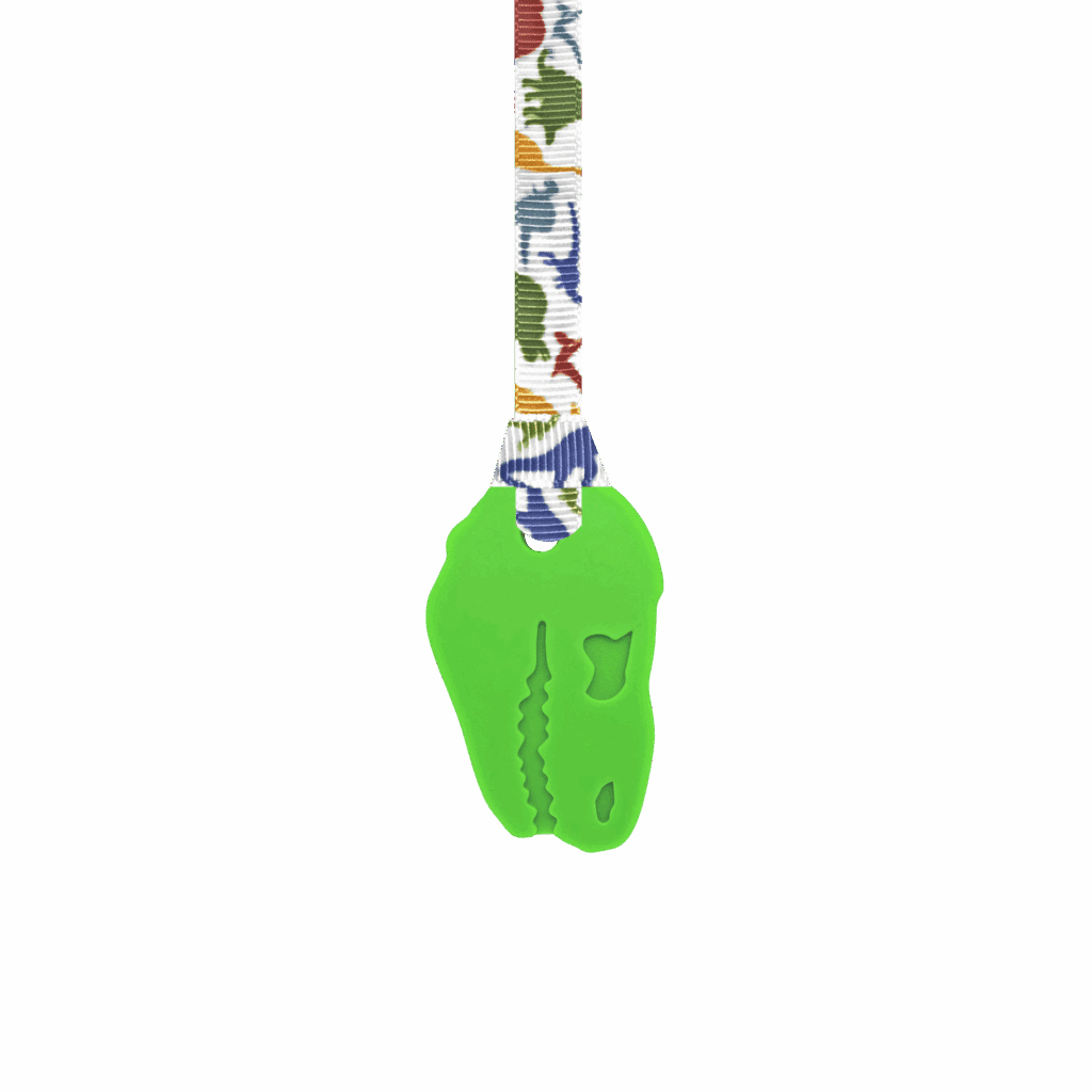 Green Dinosaur chew necklace with hand made dinosaur lanyard