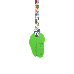 Green Dinosaur chew necklace with hand made dinosaur lanyard