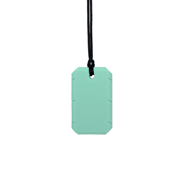 Mint green taggles chew necklace with black cord