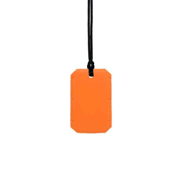 Orange taggles chew necklace with black cord