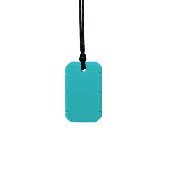 Turquoise taggles chew necklace with black cord