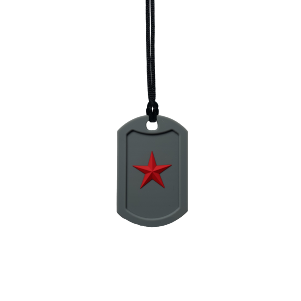 Grey Star Tag Chew Necklace on black cord