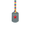 Grey Star Tag Chew Necklace on retro stripes lanyard