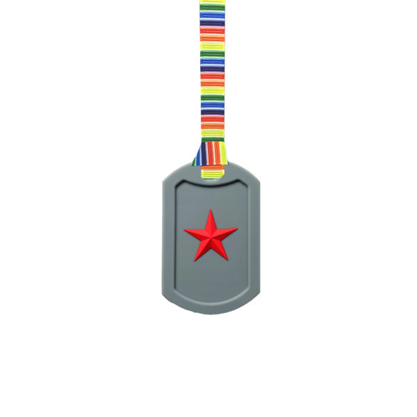 Grey Star Tag Chew Necklace on retro stripes lanyard