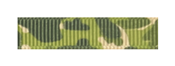 040 – Camouflage