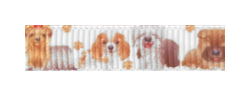 046 – Dogs