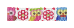 048 – Owls