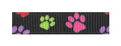 044 – Pawprints