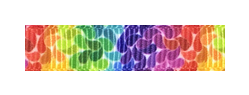 019 – Rainbow leaves