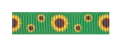 030 – Sunflowers