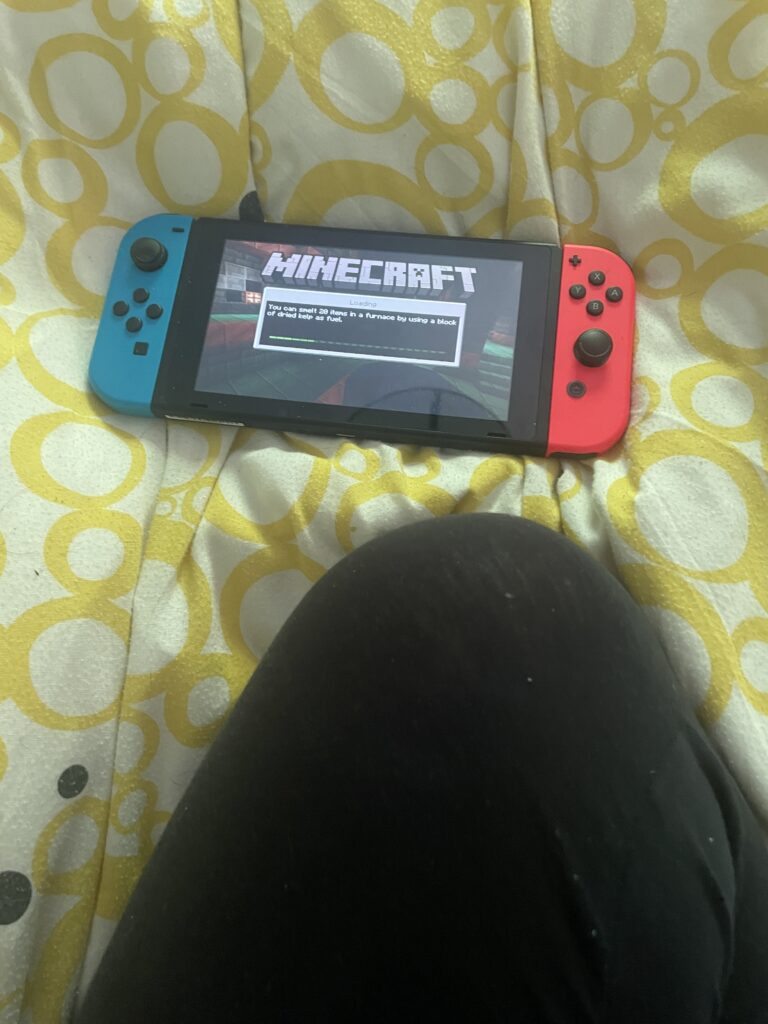 chronic illness break to play minecraft on the switch