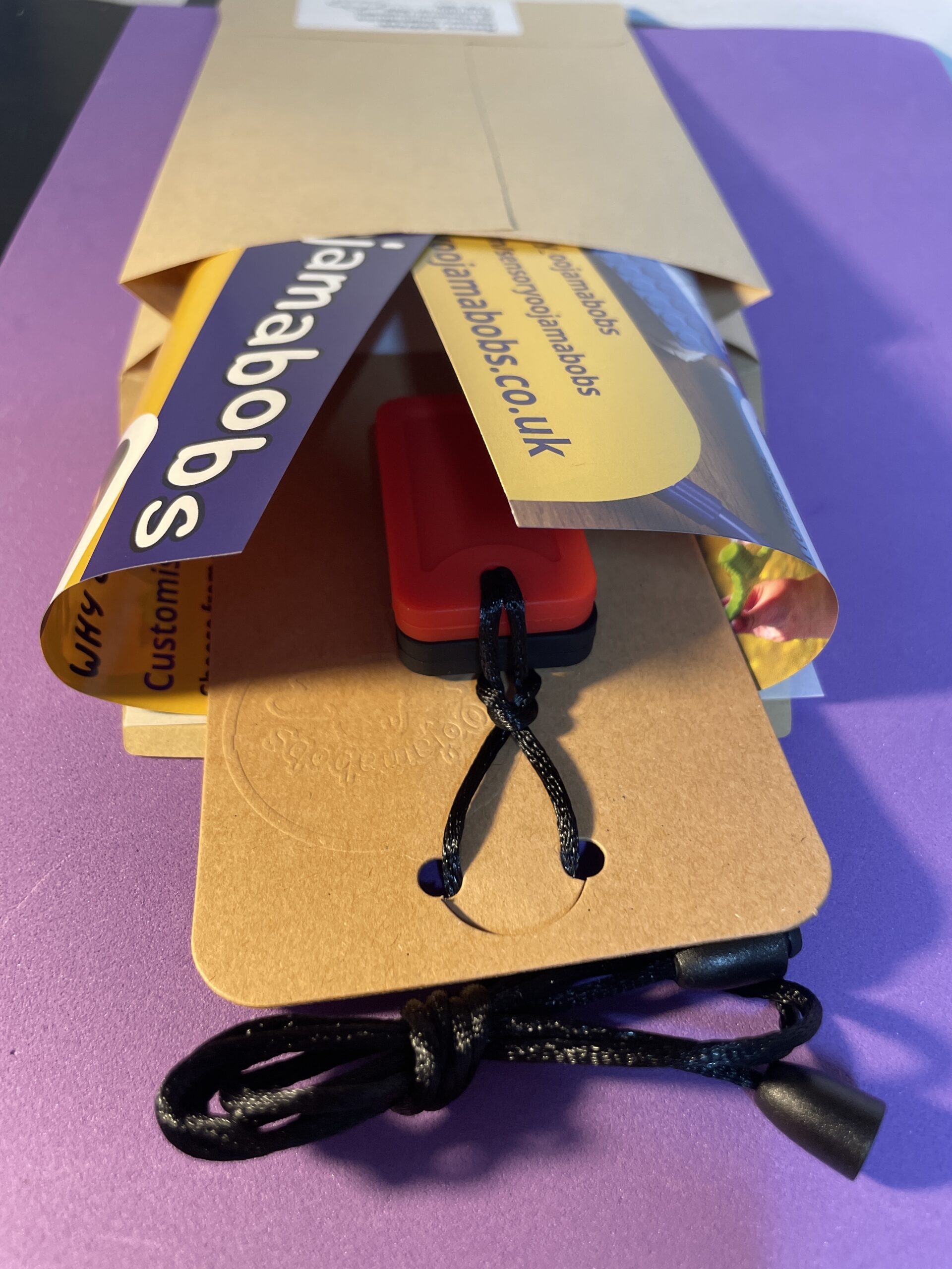 Gusset envelope with dog tag chew necklace on display card and flyer