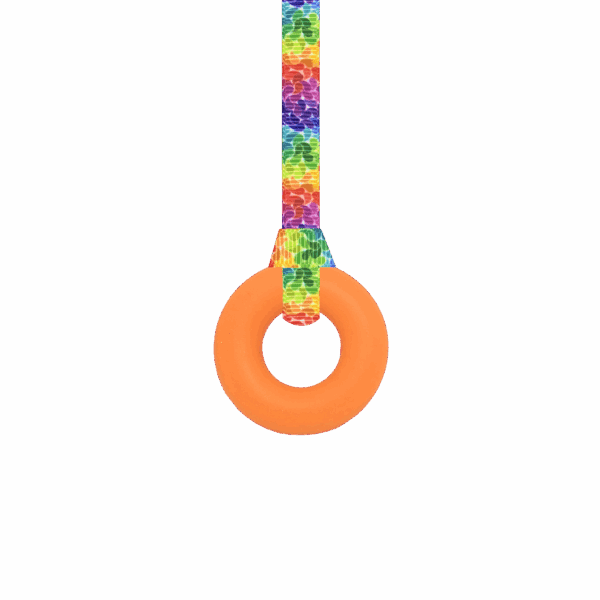 Orange ring sensory chew necklace with rainbow leaves lanyard