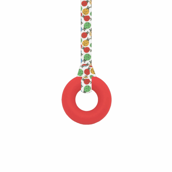Red ring sensory chew necklace with ladybirds lanyard